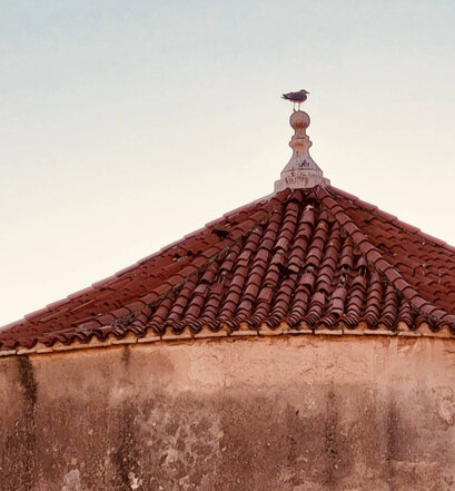 Tara Pavić Futač kao supervizorica u edukaciji za psihoterapiju – simbolizirajući rast, profesionalni razvoj i širu perspektivu.