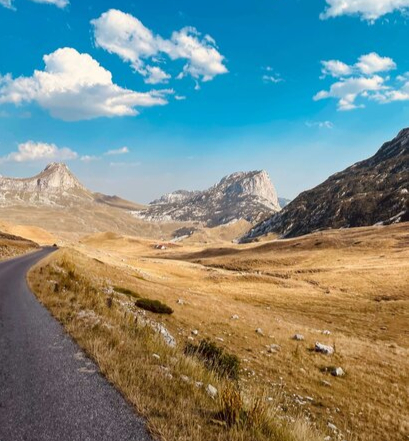 edukacije_radionice_home